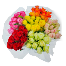 Rozen